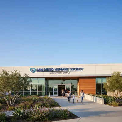 The sunny front entrance of the San Diego Humane Society campus on Gaines Street, a modern facility dedicated to animal welfare in San Diego.